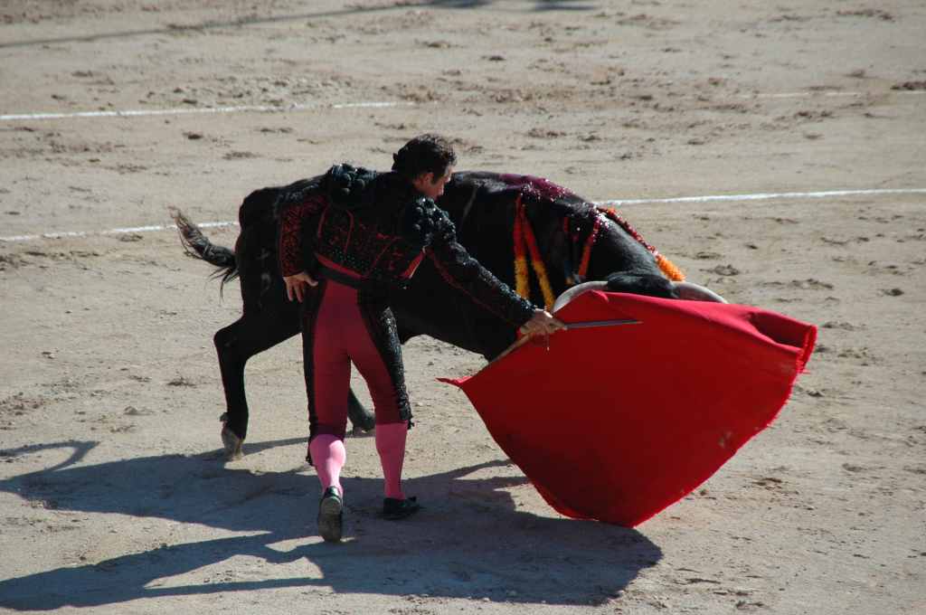 2005-05_0928_Stephane_Meca,_toros_Palha.JPG