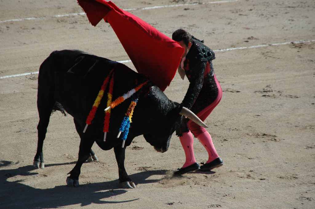 2005-05_0931_Stephane_Meca,_toros_Palha.JPG
