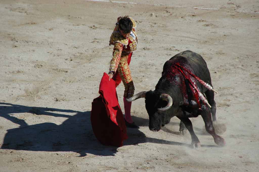 2005-05_0936_J_Valverde,_toros_Palha.JPG