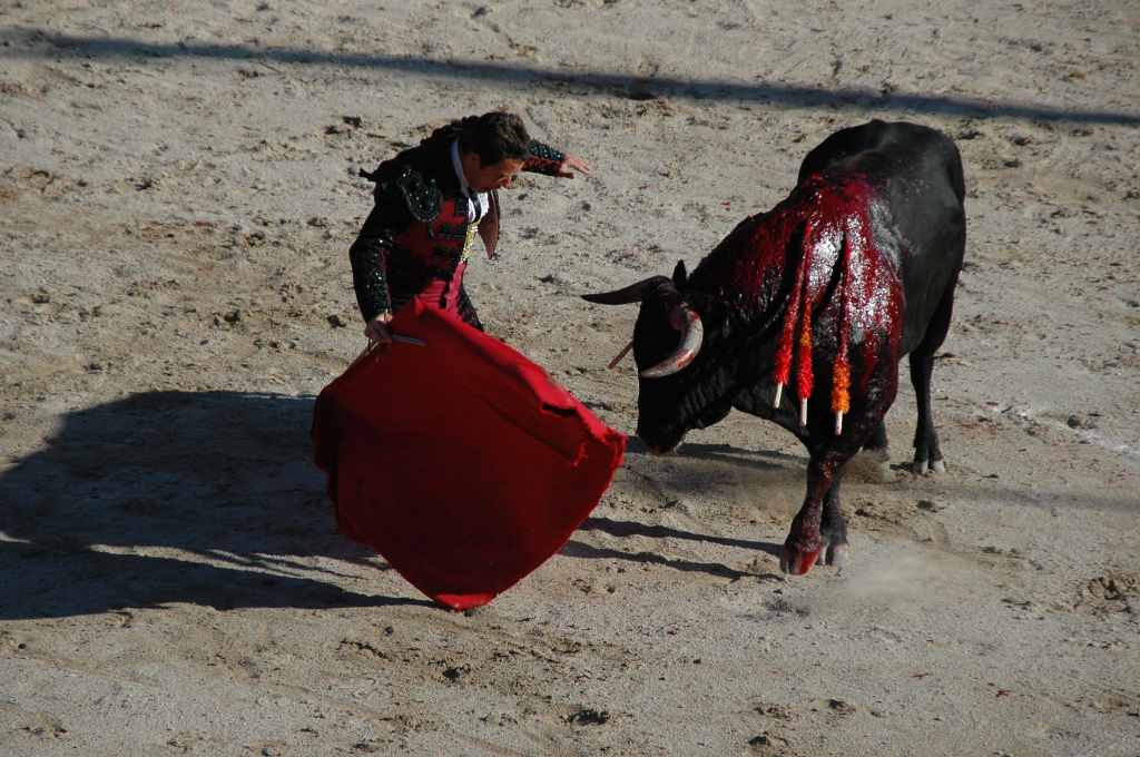 2005-05_0952_Stephane_Meca,_toros_Palha.JPG