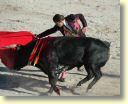 2005-05_0950_Stephane_Meca,_toros_Palha.JPG