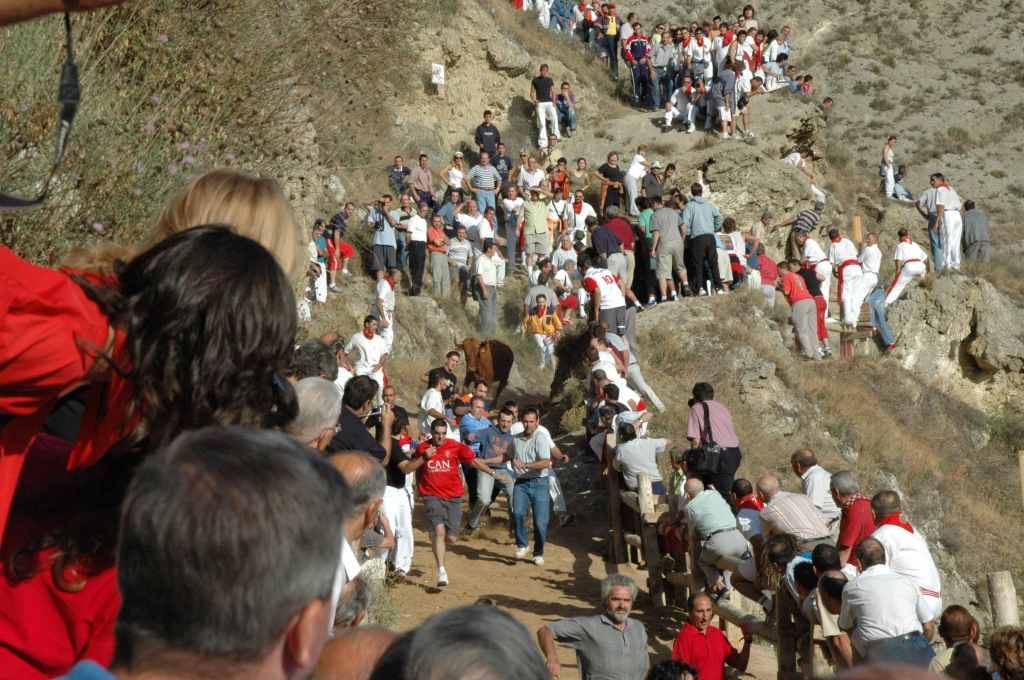 2005-08_2546_Falces,_encierro.JPG