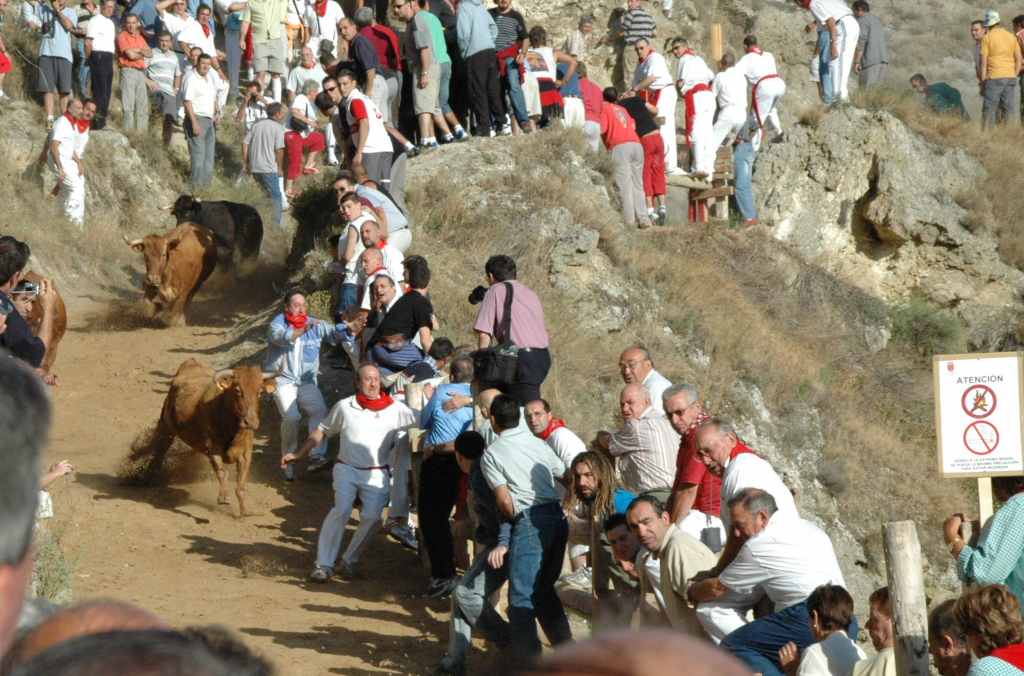 2005-08_2551_Falces,_encierro.JPG