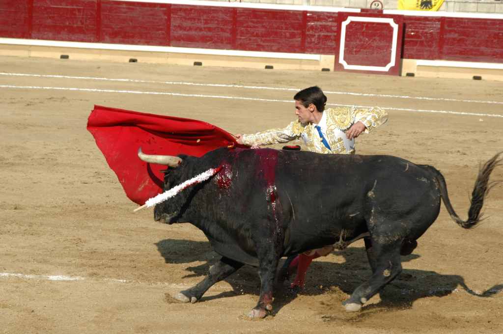 2005-08_2635_Tafalla,_Francisco_MARCO.JPG