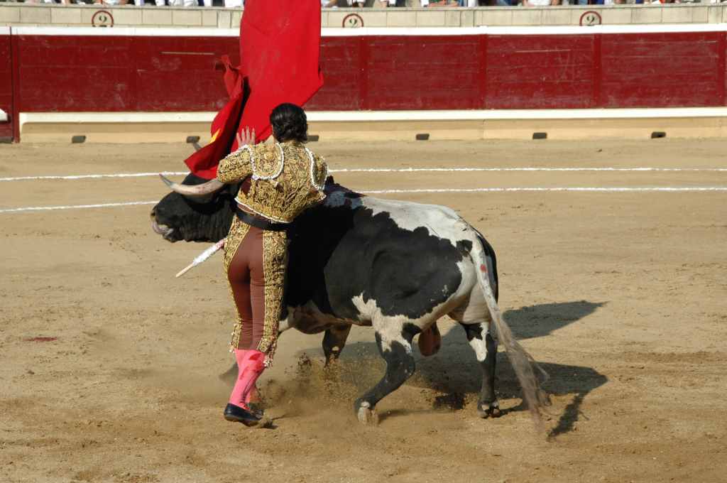 2005-08_2650_Tafalla,_Juan_DIEGO.JPG
