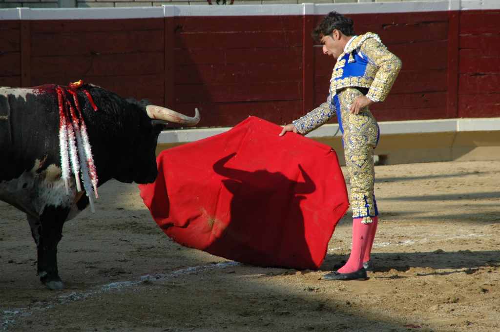 2005-08_2660_Tafalla,_Javier_VALVERDE.JPG