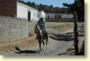 2310_Tlaxcala,_ganaderia_La_Laguna.JPG