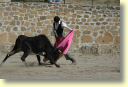 2360_Tlaxcala,_ganaderia_La_Laguna.JPG