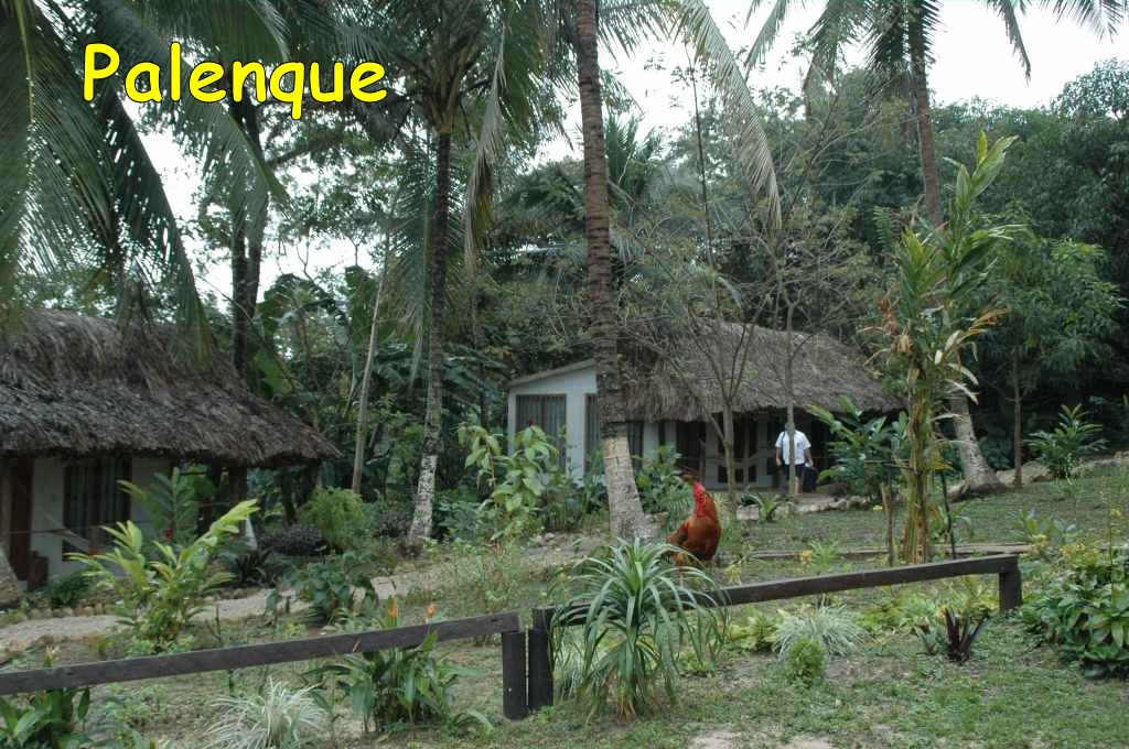 5660_Palenque,_hotel.JPG