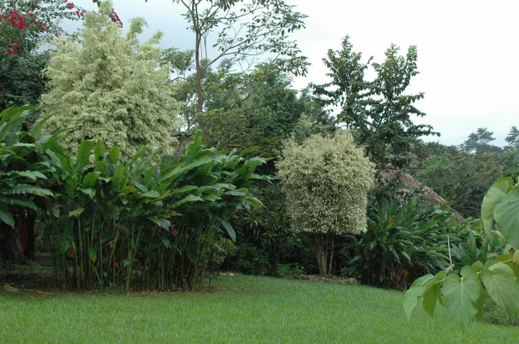 5700_Palenque,_hotel.JPG