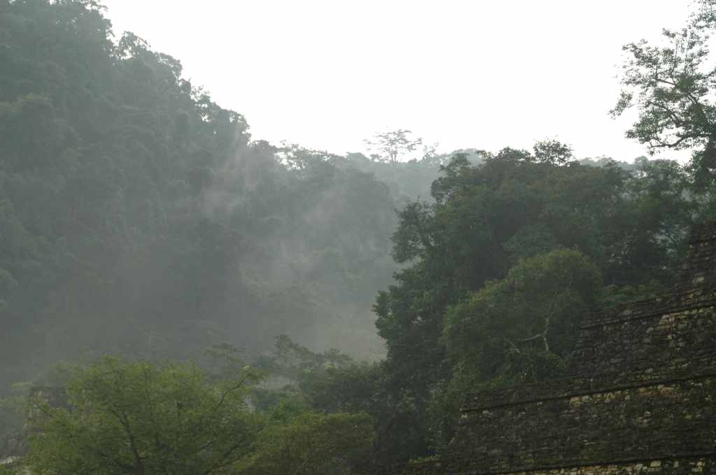 5820_Palenque,_site_Maya.JPG
