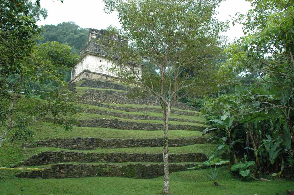 5870_Palenque,_site_Maya.JPG