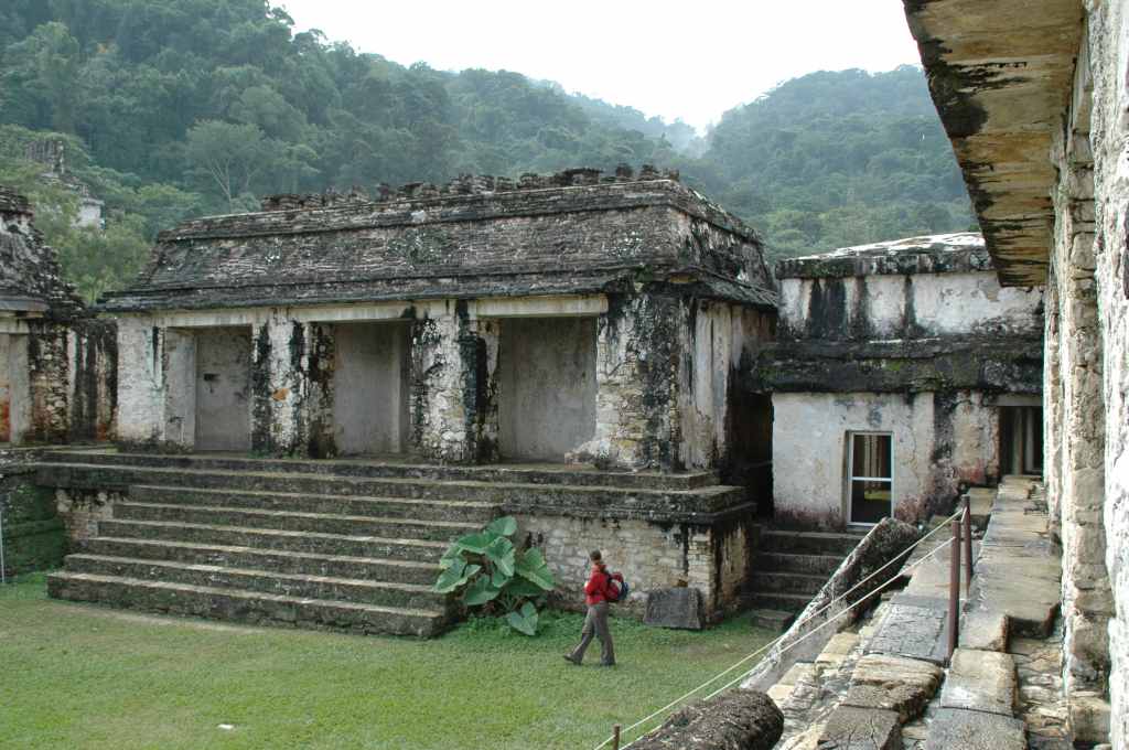 6110_Palenque,_site_Maya.JPG