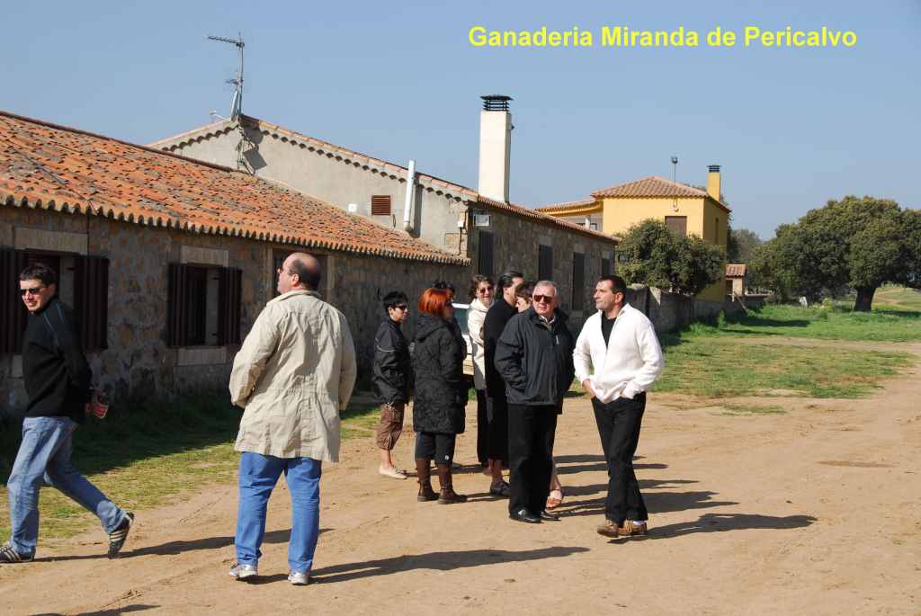 0600_Ganaderia_Miranda_de_Pericalvo_(Salamanque)_DSD_1215.JPG