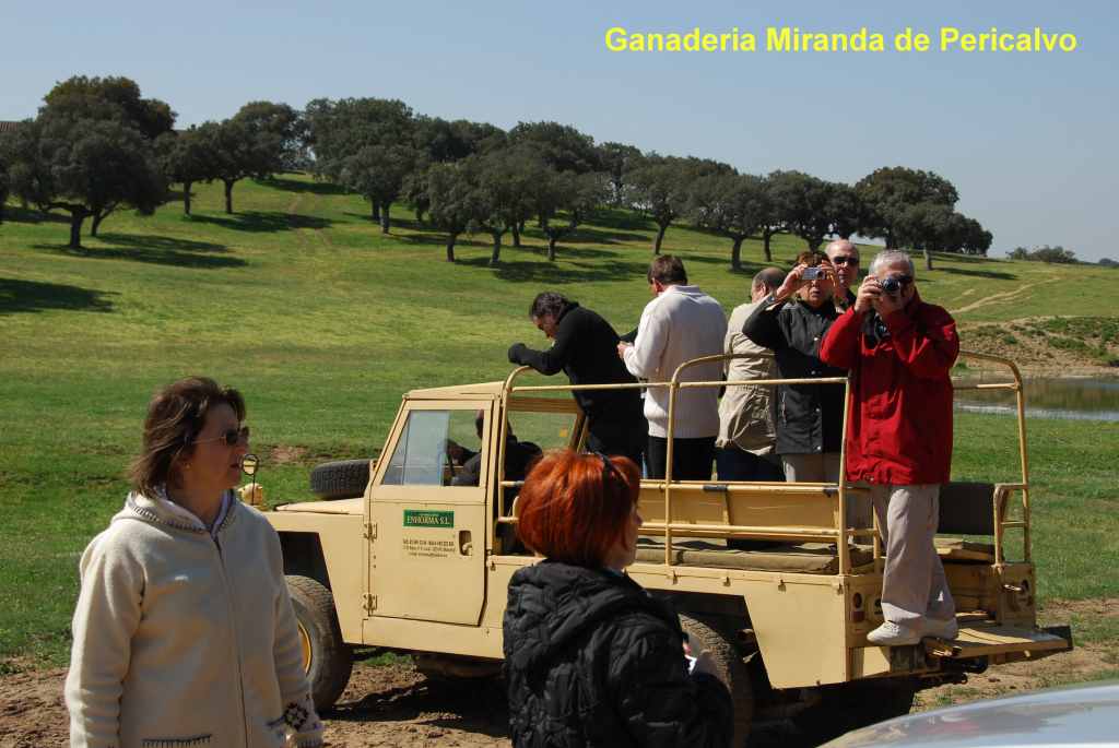 0960_Ganaderia_Miranda_de_Pericalvo_(Salamanque)_DSD_1261.JPG