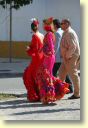 3170_Jerez,_feria_del_caballo_DSD_1528.JPG