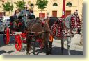 3240_Jerez,_feria_del_caballo_DSD_1535.JPG