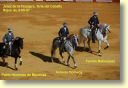 3320_Jerez,_feria_del_caballo_DSD_1546.JPG