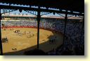 3330_Jerez,_feria_del_caballo_DSD_1548.JPG