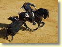 3410_Jerez,_feria_del_caballo_DSD_1556.JPG