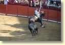 3500_Jerez,_feria_del_caballo_DSD_1566.JPG
