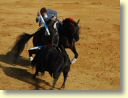 3510_Jerez,_feria_del_caballo_DSD_1567.JPG