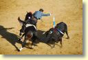 3560_Jerez,_feria_del_caballo_DSD_1572.JPG