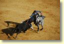 3590_Jerez,_feria_del_caballo_DSD_1575.JPG