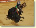 3630_Jerez,_feria_del_caballo_DSD_1579.JPG