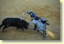 3660_Jerez,_feria_del_caballo_DSD_1582.JPG