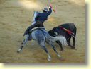 3770_Jerez,_feria_del_caballo_DSD_1597.JPG