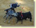 3772_Jerez,_feria_del_caballo_DSD_1598.JPG