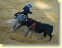 3773_Jerez,_feria_del_caballo_DSD_1599.JPG