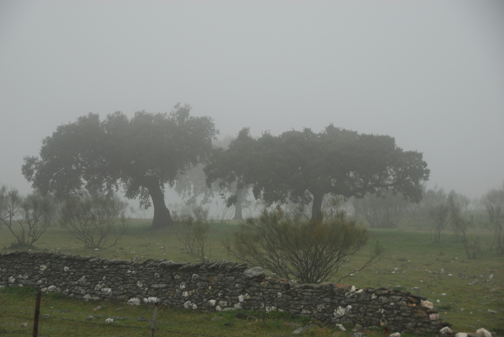 0510_chez_Victorino_Martin_DSD_4511.JPG