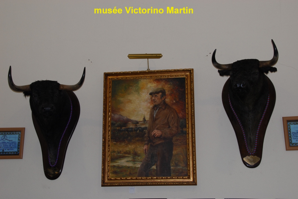 1360_chez_Victorino_Martin_DSD_4609.JPG