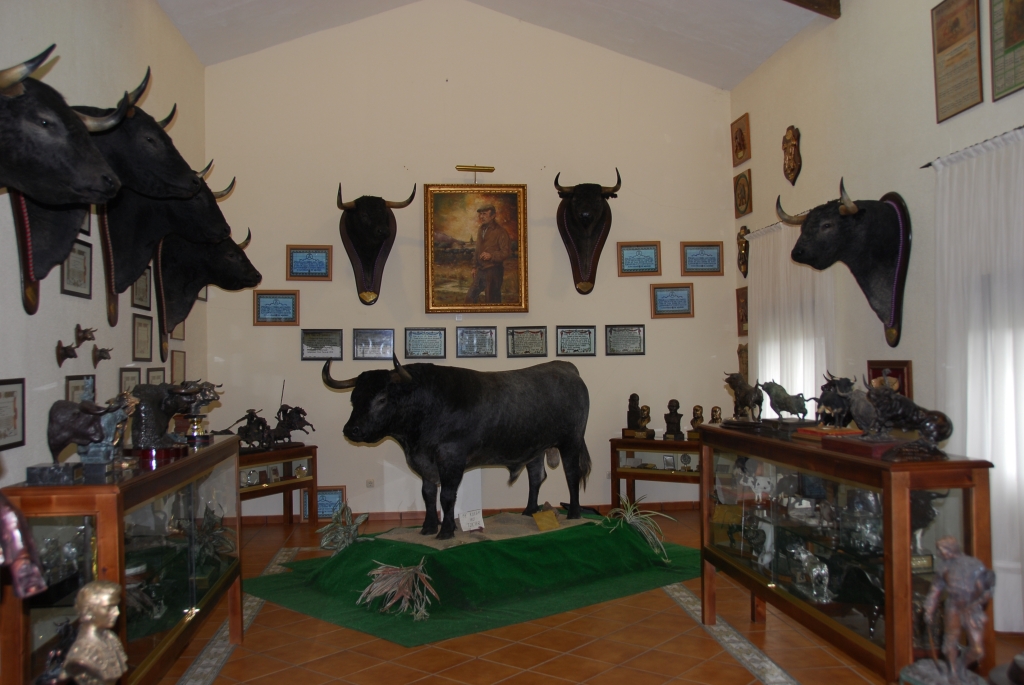 1420_chez_Victorino_Martin_DSD_4621.JPG