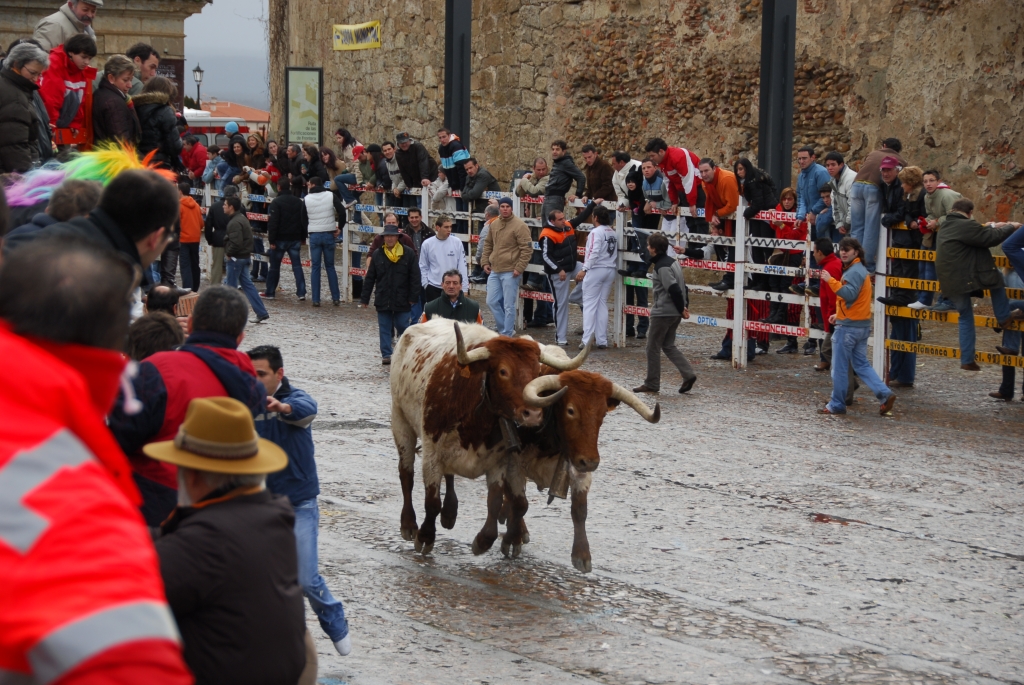 1560_encierro_a_Ciudad_Rodrigo_DSD_4638.JPG