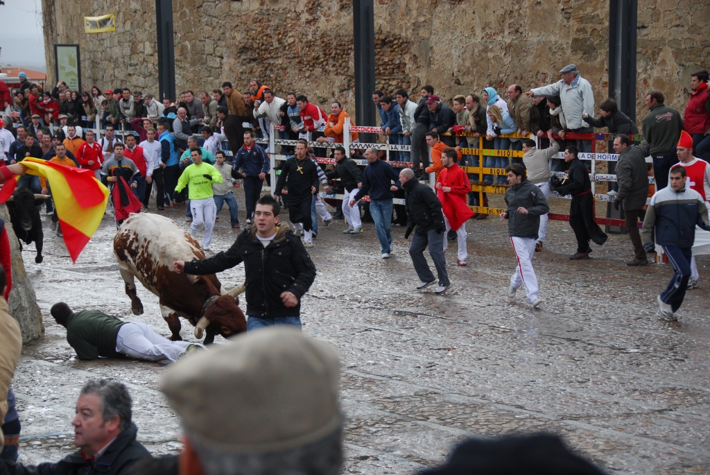 1690_encierro_a_Ciudad_Rodrigo_DSD_4651.JPG