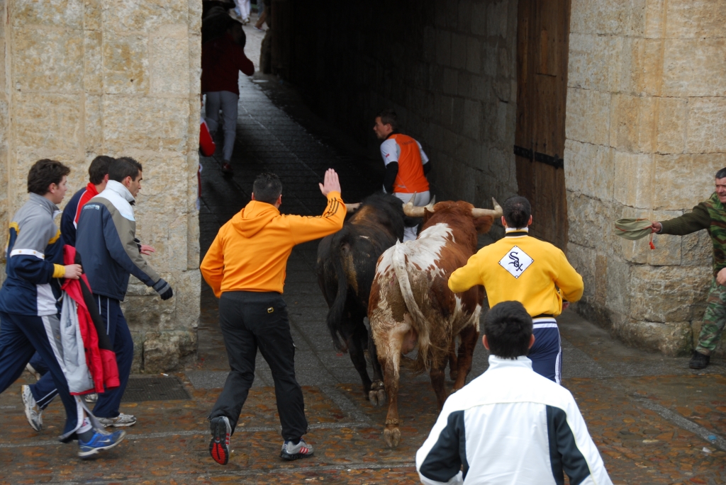 1750_encierro_a_Ciudad_Rodrigo_DSD_4657.JPG