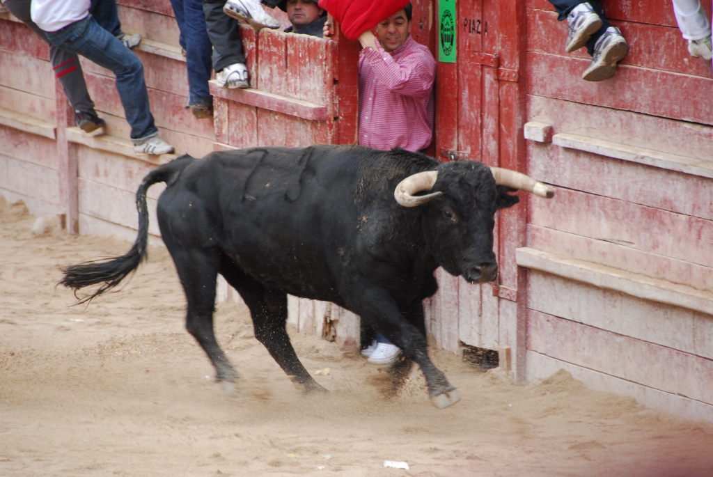 1980_encierro_a_Ciudad_Rodrigo_DSD_4680.JPG