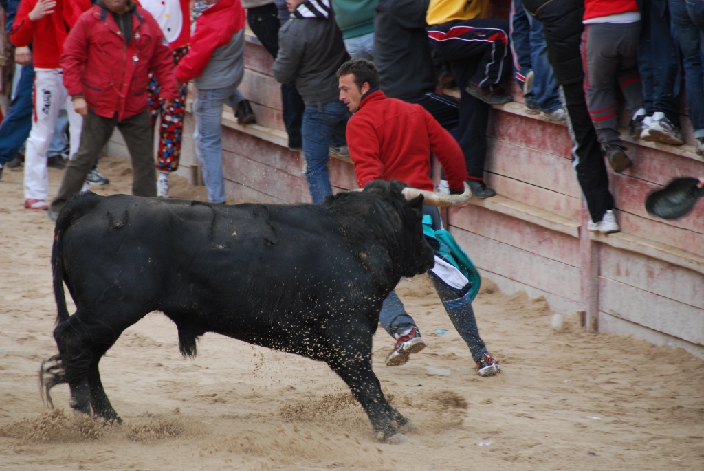 2000_encierro_a_Ciudad_Rodrigo_DSD_4682.JPG