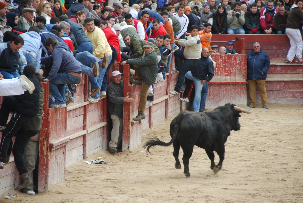 2020_encierro_a_Ciudad_Rodrigo_DSD_4684.JPG