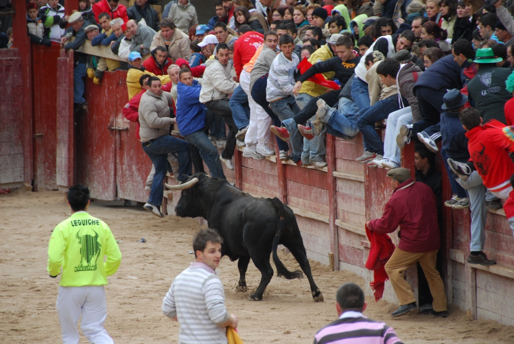 2030_encierro_a_Ciudad_Rodrigo_DSD_4685.JPG