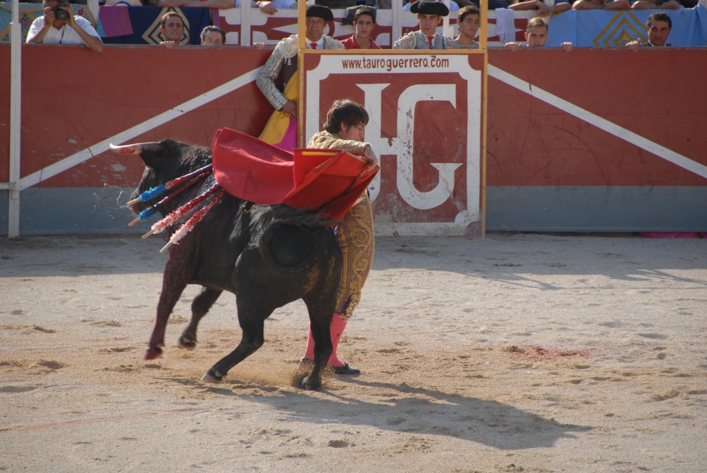 0690_Alberto_Lamelas_DSD_7762.JPG