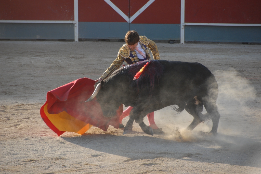 0760_Alberto_Lamelas_DSD_7780.JPG