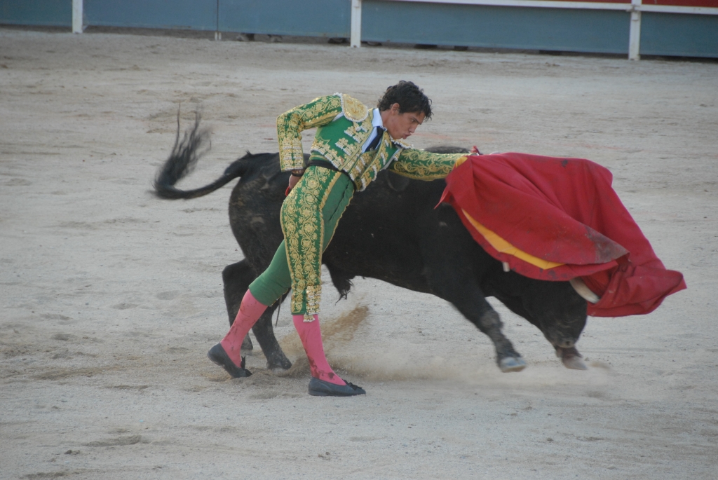 0940_Mario_Aguilar_DSD_7818.JPG