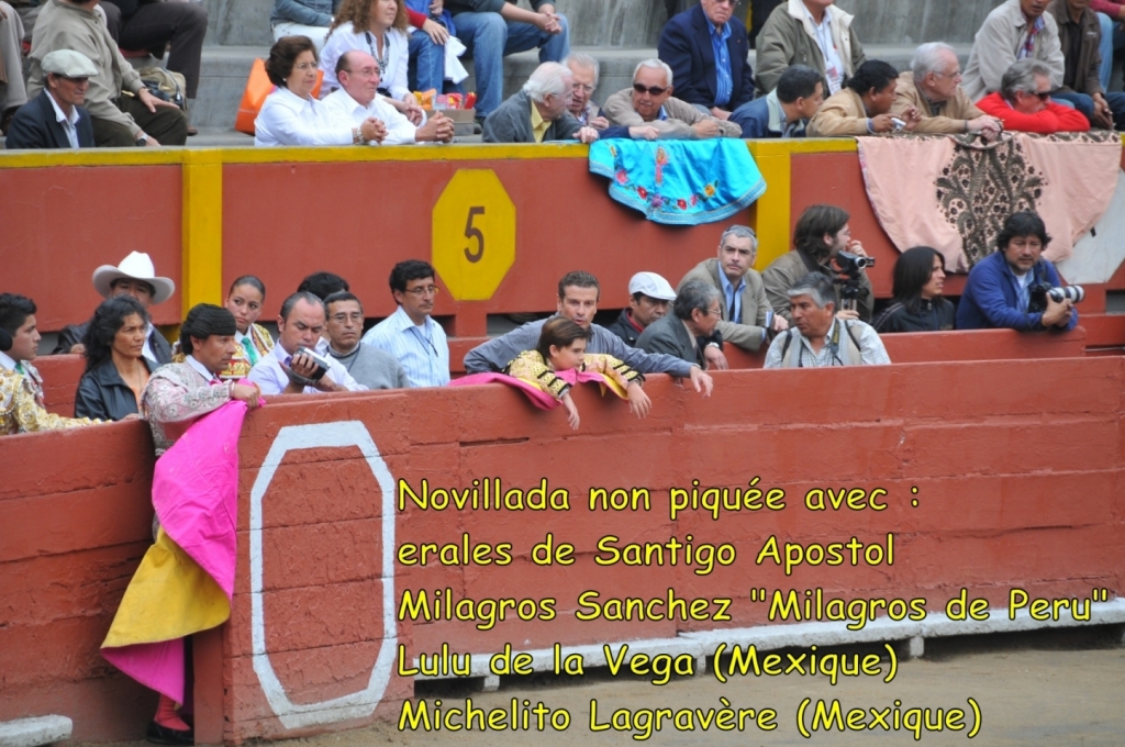 02070_Lima,_novillada_a_Acho_DSE_2264.JPG