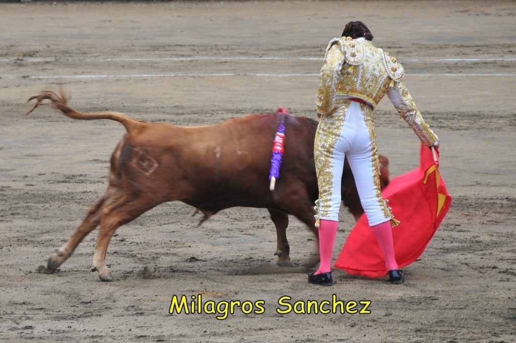02110_Milagros_Sanchez_DSE_2272.JPG