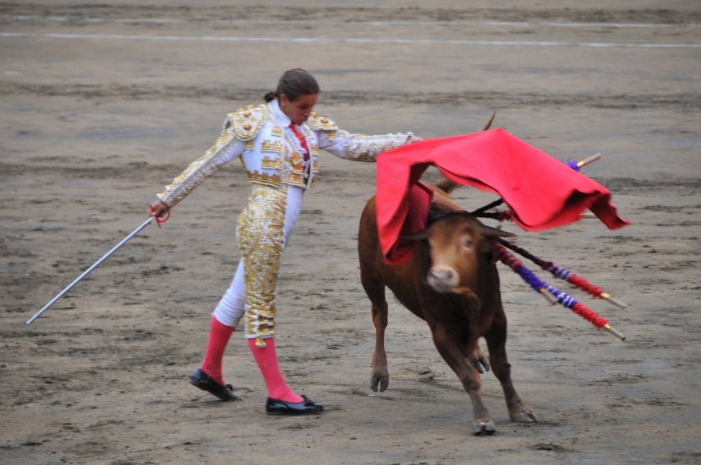 02140_Milagros_Sanchez_DSE_2277.JPG