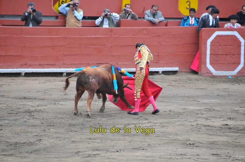 02210_Lulu_de_la_Vega_DSE_2285.JPG